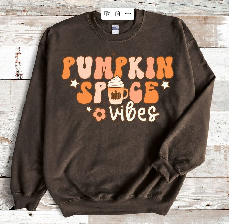 Pumpkin Spice Vibes Crew Neck Sweatshirt